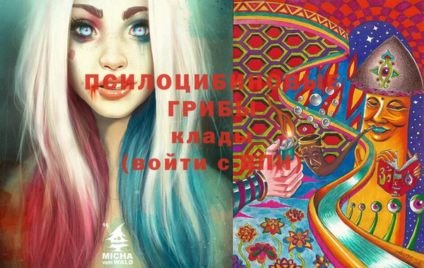 тгк Алзамай