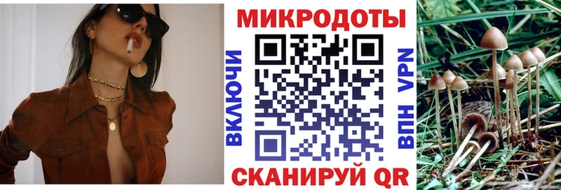 кракен сайт  Ликино-Дулёво  Галлюциногенные грибы Psilocybine cubensis  закладка 